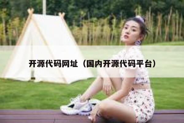 开源代码网址（国内开源代码平台） 第1张