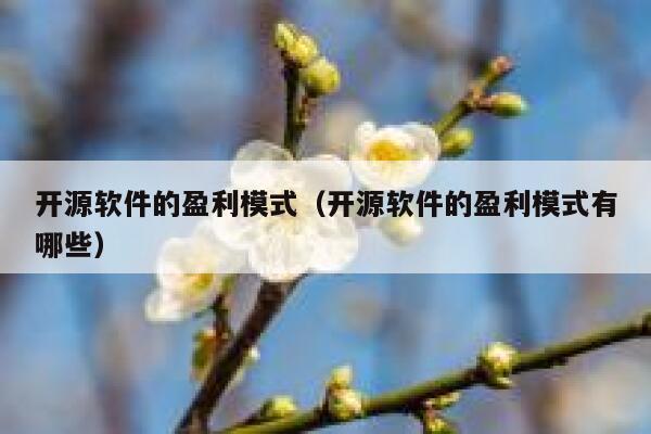 开源软件的盈利模式（开源软件的盈利模式有哪些） 第1张
