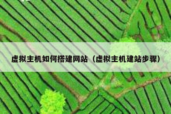 虚拟主机如何搭建网站（虚拟主机建站步骤） 第1张