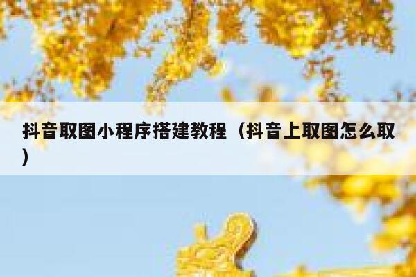抖音取图小程序搭建教程(抖音上取图怎么取) 第1张 抖音取图小程序搭建教程(抖音上取图怎么取) 第1张