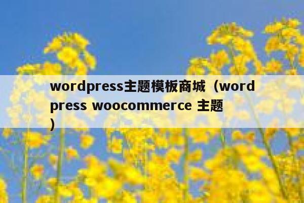 wordpress主题模板商城(wordpress woocommerce 主题) 第1张 wordpress主题模板商城(wordpress woocommerce 主题) 第1张