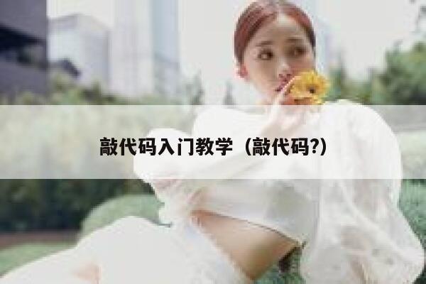 敲代码入门教学（敲代码?） 第1张