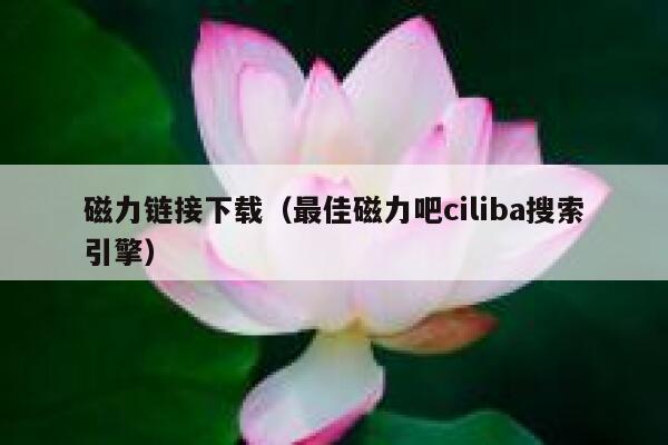 磁力链接下载（最佳磁力吧ciliba搜索引擎） 第1张