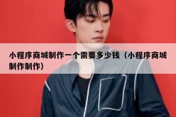 小程序商城制作一个需要多少钱(小程序商城制作制作) 第1张 小程序商城制作一个需要多少钱(小程序商城制作制作) 第1张