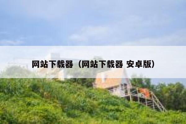 网站下载器(网站下载器 安卓版) 第1张 网站下载器(网站下载器 安卓版) 第1张