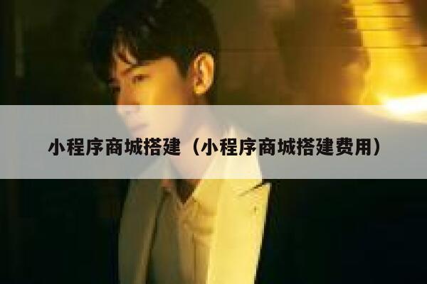 小程序商城搭建（小程序商城搭建费用） 第1张