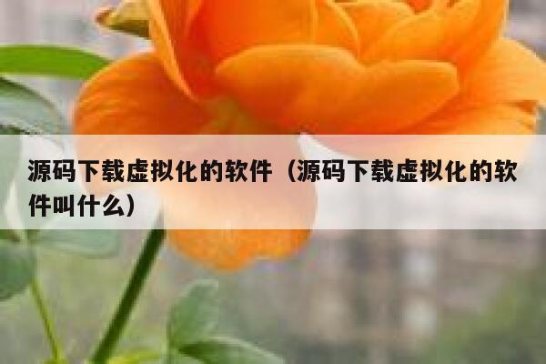 源码下载虚拟化的软件(源码下载虚拟化的软件叫什么) 第1张 源码下载虚拟化的软件(源码下载虚拟化的软件叫什么) 第1张