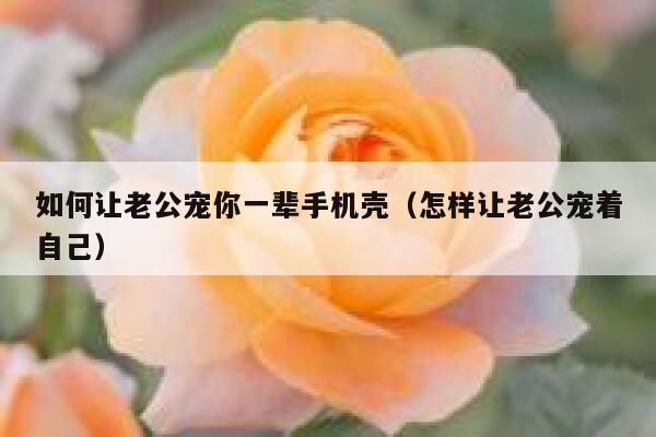 如何让老公宠你一辈手机壳（怎样让老公宠着自己） 第1张