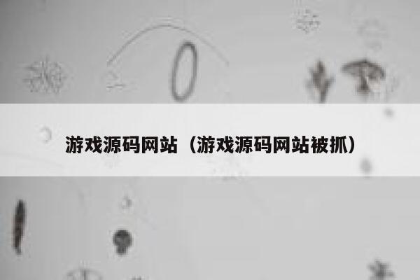 游戏源码网站(游戏源码网站被抓) 第1张 游戏源码网站(游戏源码网站被抓) 第1张