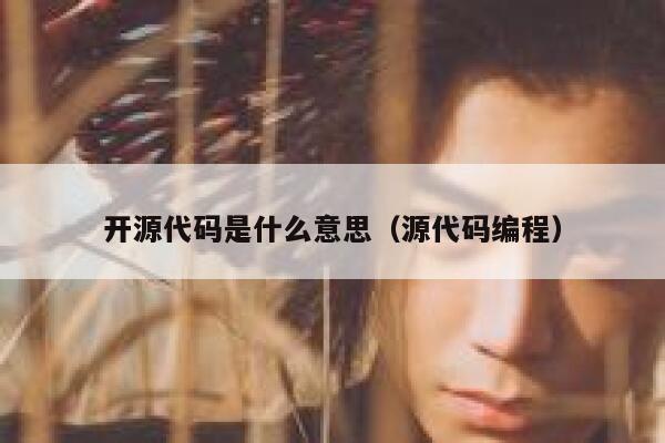 开源代码是什么意思（源代码编程） 第1张