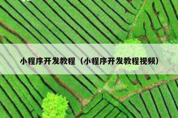 小程序开发教程(小程序开发教程视频) 第1张 小程序开发教程(小程序开发教程视频) 第1张
