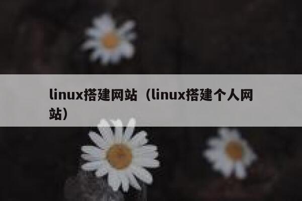 linux搭建网站（linux搭建个人网站） 第1张