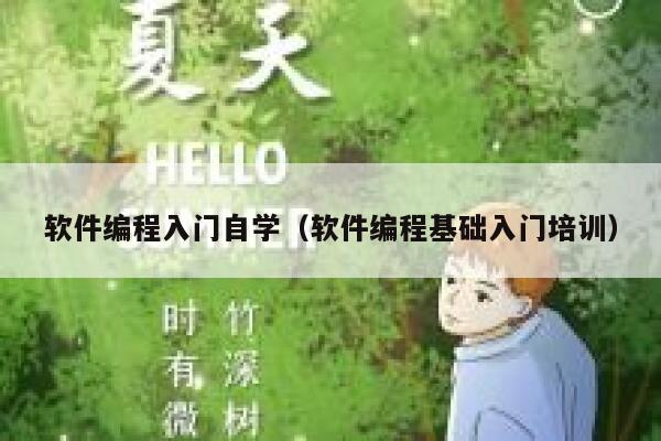 软件编程入门自学（软件编程基础入门培训） 第1张