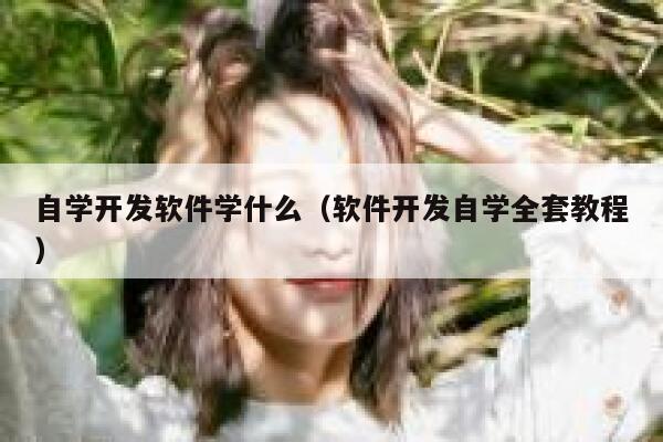 自学开发软件学什么（软件开发自学全套教程） 第1张