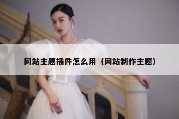网站主题插件怎么用（网站制作主题） 第1张