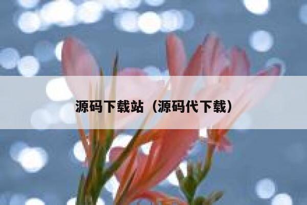 源码下载站(源码代下载) 第1张 源码下载站(源码代下载) 第1张