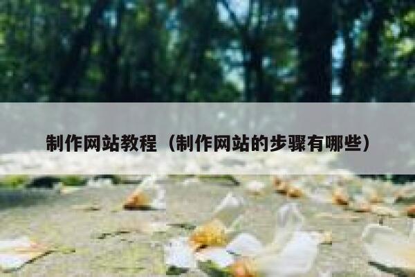 制作网站教程(制作网站的步骤有哪些) 第1张 制作网站教程(制作网站的步骤有哪些) 第1张