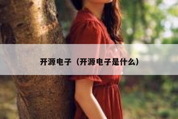 开源电子（开源电子是什么） 第1张