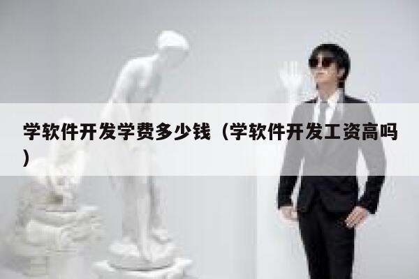 学软件开发学费多少钱(学软件开发工资高吗) 第1张 学软件开发学费多少钱(学软件开发工资高吗) 第1张