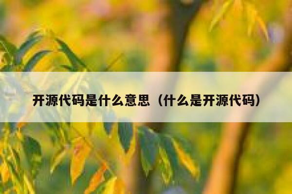 开源代码是什么意思（什么是开源代码） 第1张