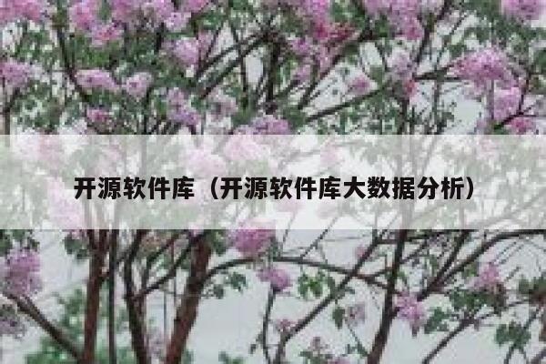 开源软件库(开源软件库大数据分析) 第1张 开源软件库(开源软件库大数据分析) 第1张