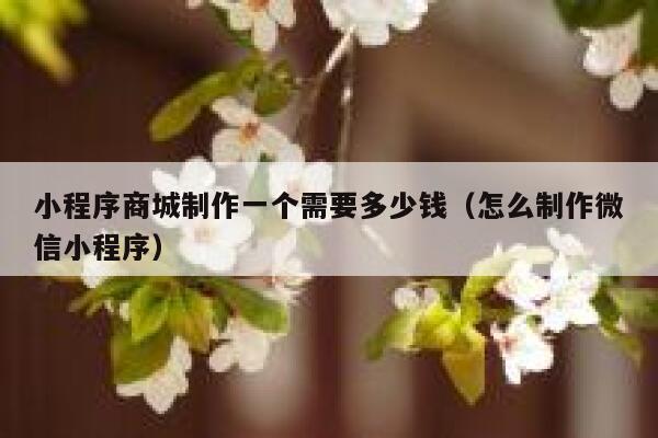 小程序商城制作一个需要多少钱(怎么制作微信小程序) 第1张 小程序商城制作一个需要多少钱(怎么制作微信小程序) 第1张