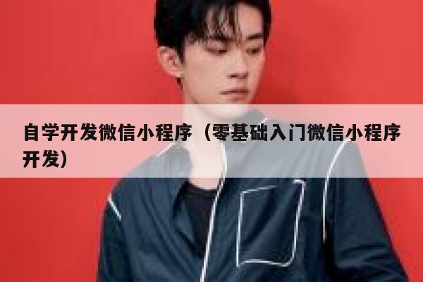 自学开发微信小程序（零基础入门微信小程序开发） 第1张