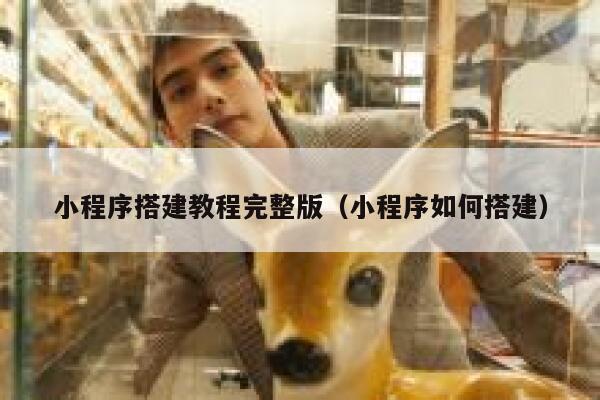 小程序搭建教程完整版（小程序如何搭建） 第1张