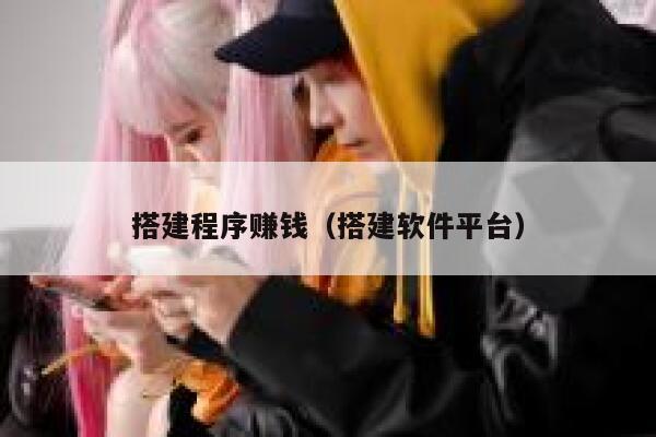 搭建程序赚钱（搭建软件平台） 第1张