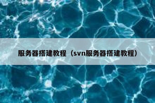 服务器搭建教程（svn服务器搭建教程） 第1张