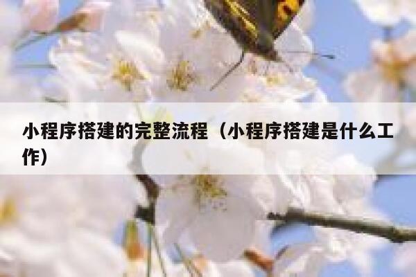 小程序搭建的完整流程(小程序搭建是什么工作) 第1张 小程序搭建的完整流程(小程序搭建是什么工作) 第1张