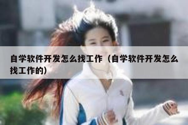 自学软件开发怎么找工作(自学软件开发怎么找工作的) 第1张 自学软件开发怎么找工作(自学软件开发怎么找工作的) 第1张
