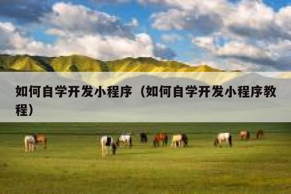 如何自学开发小程序(如何自学开发小程序教程) 第1张 如何自学开发小程序(如何自学开发小程序教程) 第1张