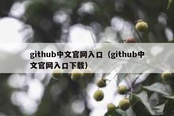 github中文官网入口(github中文官网入口下载) 第1张 github中文官网入口(github中文官网入口下载) 第1张