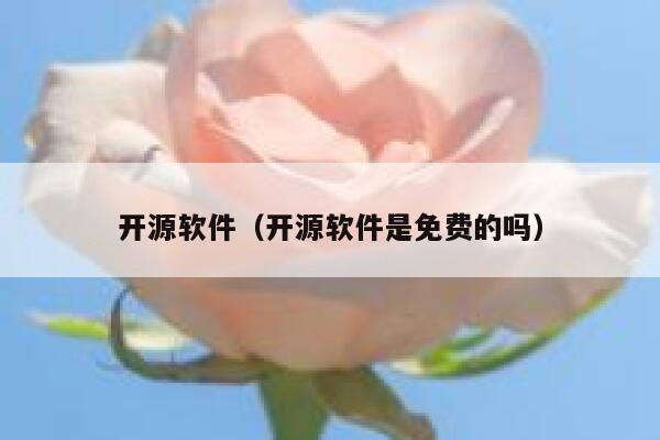 开源软件(开源软件是免费的吗) 第1张 开源软件(开源软件是免费的吗) 第1张