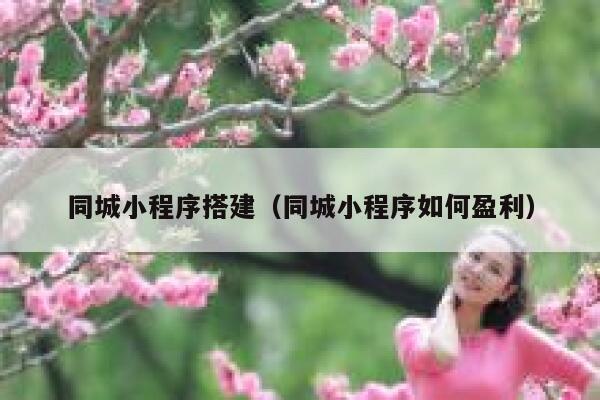 同城小程序搭建(同城小程序如何盈利) 第1张 同城小程序搭建(同城小程序如何盈利) 第1张