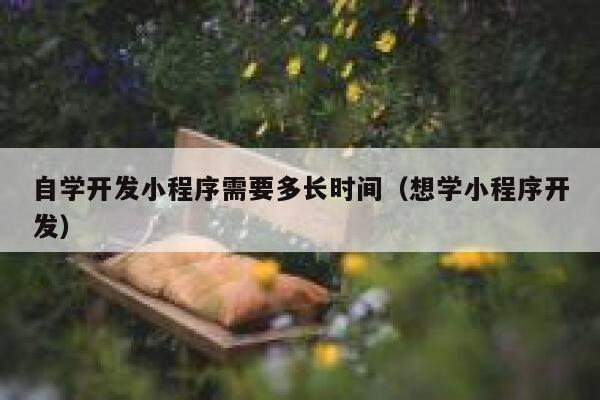 自学开发小程序需要多长时间(想学小程序开发) 第1张 自学开发小程序需要多长时间(想学小程序开发) 第1张