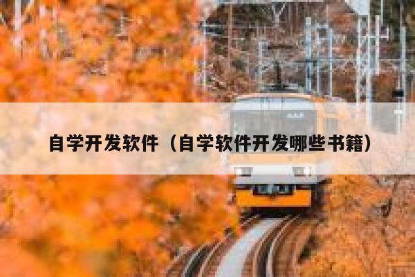 自学开发软件(自学软件开发哪些书籍) 第1张 自学开发软件(自学软件开发哪些书籍) 第1张
