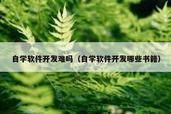 自学软件开发难吗(自学软件开发哪些书籍) 第1张 自学软件开发难吗(自学软件开发哪些书籍) 第1张