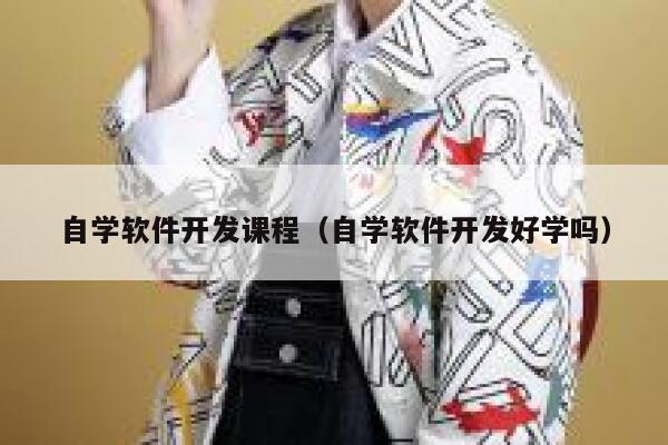 自学软件开发课程(自学软件开发好学吗) 第1张 自学软件开发课程(自学软件开发好学吗) 第1张