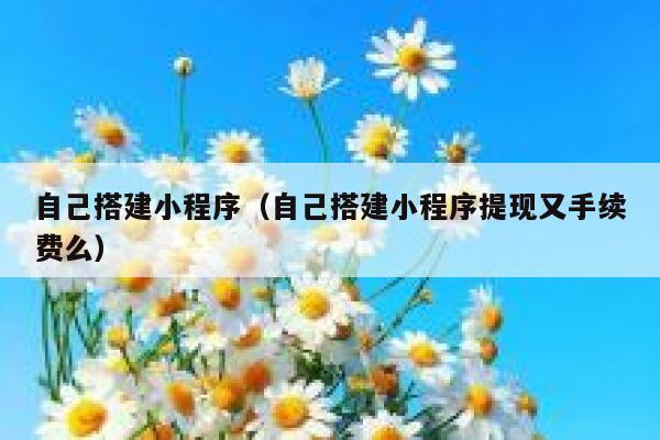 自己搭建小程序(自己搭建小程序提现又手续费么) 第1张 自己搭建小程序(自己搭建小程序提现又手续费么) 第1张