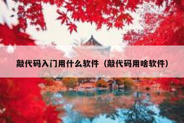 敲代码入门用什么软件(敲代码用啥软件) 第1张 敲代码入门用什么软件(敲代码用啥软件) 第1张