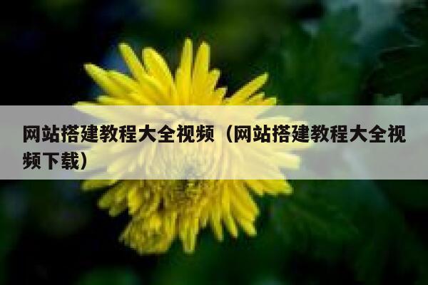 网站搭建教程大全视频(网站搭建教程大全视频下载) 第1张 网站搭建教程大全视频(网站搭建教程大全视频下载) 第1张