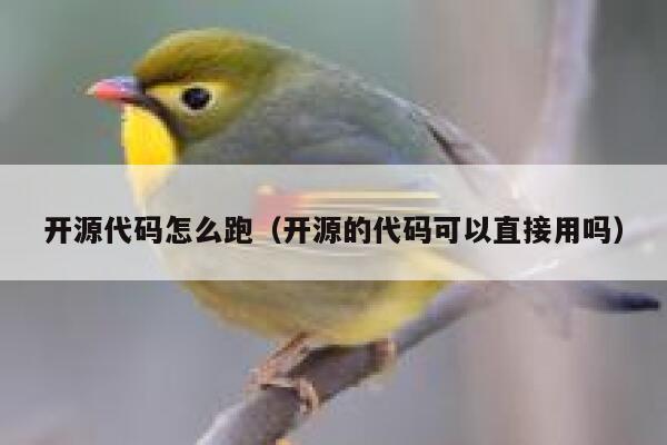 开源代码怎么跑(开源的代码可以直接用吗) 第1张 开源代码怎么跑(开源的代码可以直接用吗) 第1张