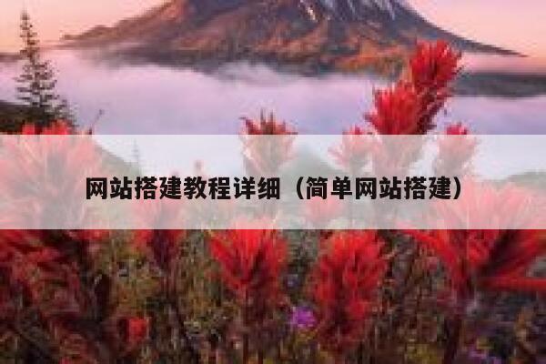 网站搭建教程详细(简单网站搭建) 第1张 网站搭建教程详细(简单网站搭建) 第1张
