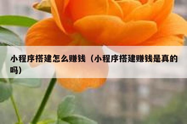 小程序搭建怎么赚钱(小程序搭建赚钱是真的吗) 第1张 小程序搭建怎么赚钱(小程序搭建赚钱是真的吗) 第1张