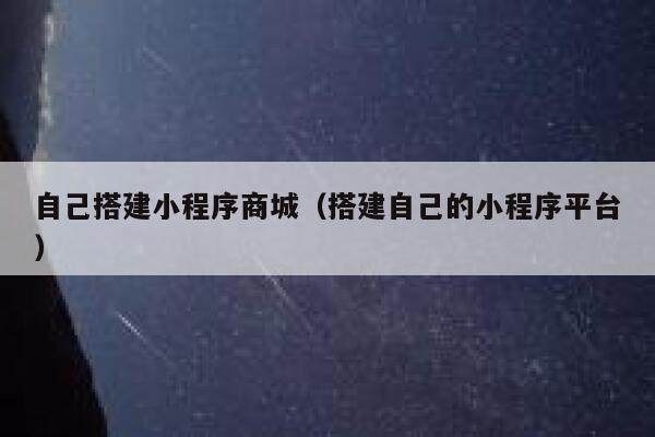 自己搭建小程序商城(搭建自己的小程序平台) 第1张 自己搭建小程序商城(搭建自己的小程序平台) 第1张