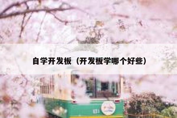 自学开发板(开发板学哪个好些) 第1张 自学开发板(开发板学哪个好些) 第1张