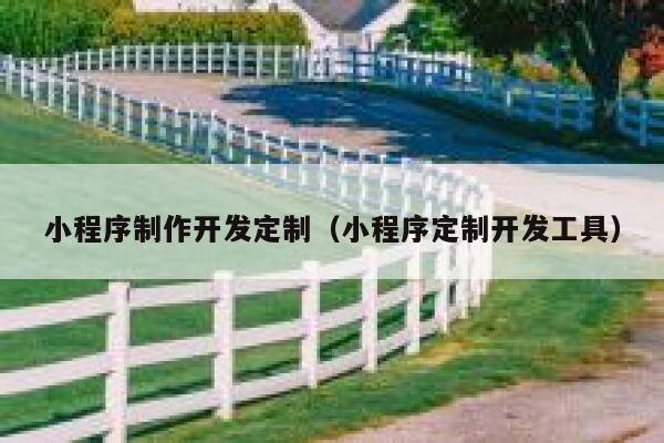小程序制作开发定制(小程序定制开发工具) 第1张 小程序制作开发定制(小程序定制开发工具) 第1张