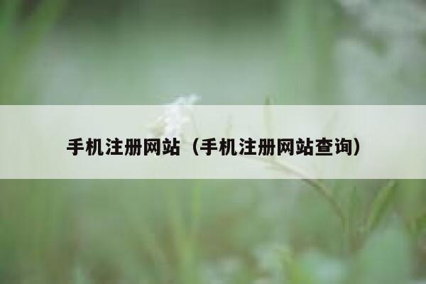 手机注册网站(手机注册网站查询) 第1张 手机注册网站(手机注册网站查询) 第1张